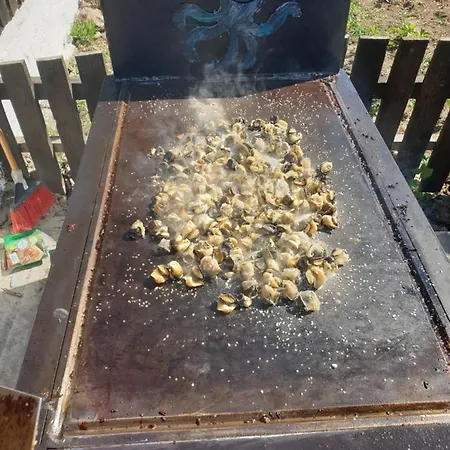 Porto Lima Apartamento *